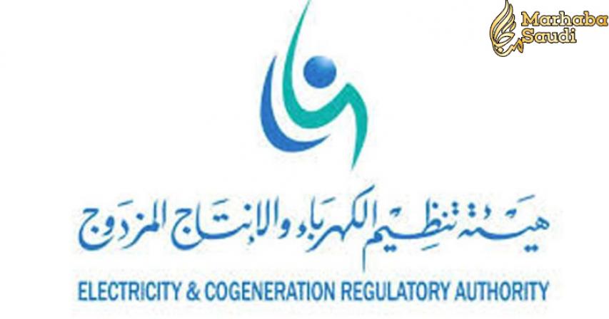 Shoura to discuss rising electricity bills; may seek ECRA intervention
