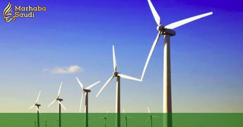 Saudi Arabia receives bids for $500m wind farm
