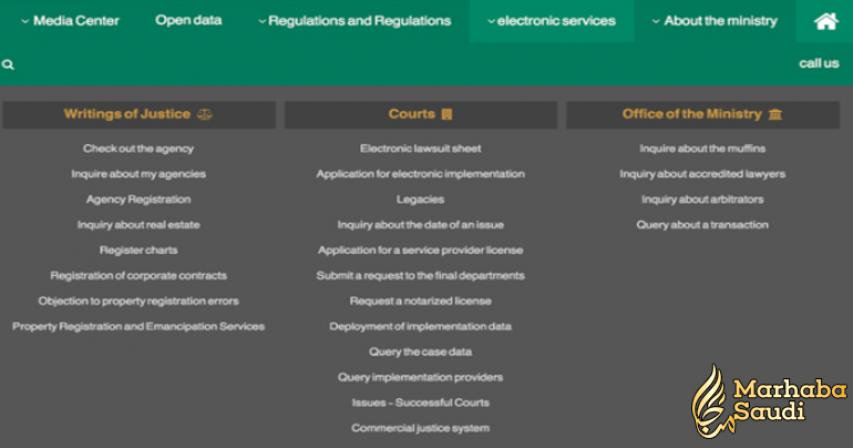 More than 12 million people benefited from E-services this year