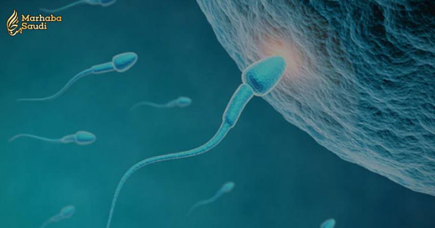 How to improve low sperm count?