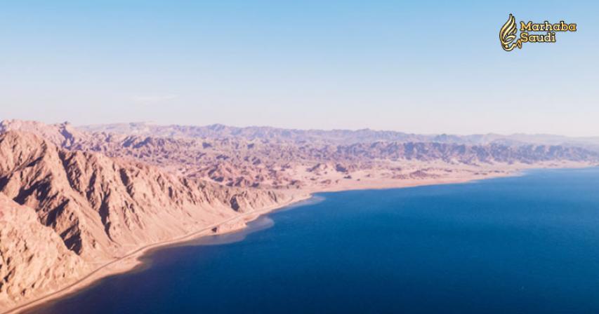 Saudi Arabia announces creation of Neom Company
