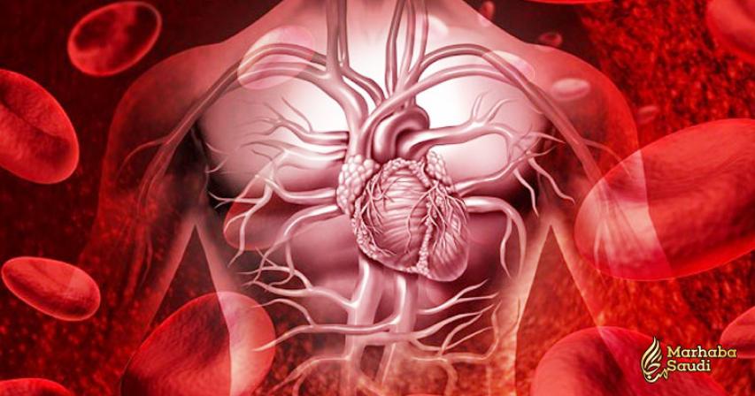 12 possible Heart Symptoms You Should Know
