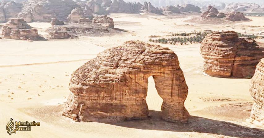 Saudi missions overseas gear up for deluge of tourist e-visa applications