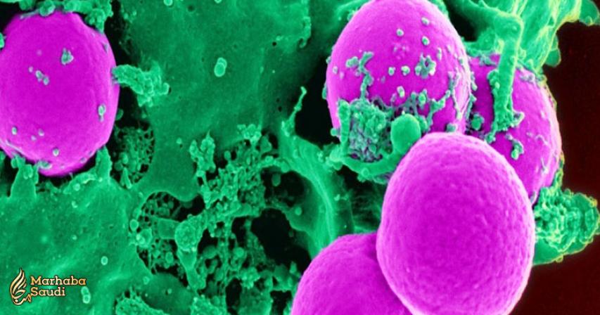 Scientists Have Found an Entirely New Way to Slow Autoimmune Diseases
