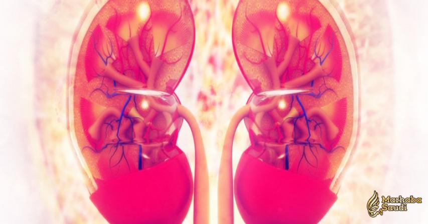 The First Living Person With HIV Has Successfully Provided a Kidney For Transplant
