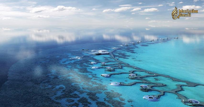 Saudi Arabia's Red Sea 'equivalent to Maldives' says IHG boss
