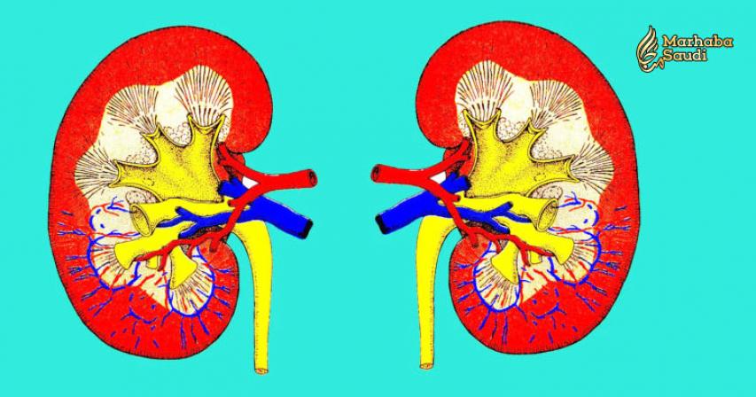10 Healthy Habits That Will Keep Your Kidneys Happy
