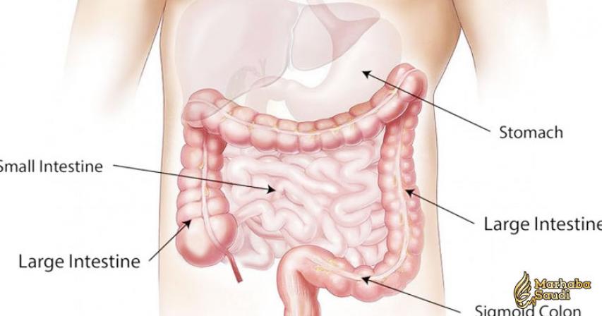 4 Effective Ways to Improve Digestion Naturally
