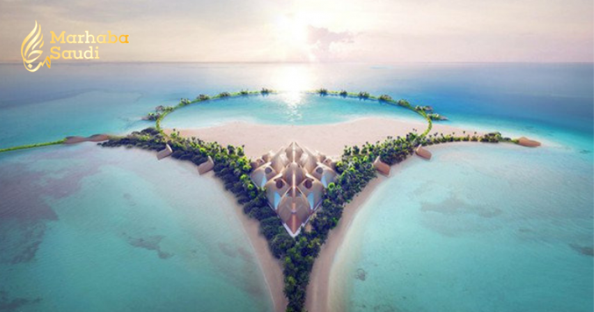 Saudi Arabia’s Red Sea Project offers 120 scholarships, Saudi Arabia latest news, Saudi News, Scholarships for undergraduate students in Saudi