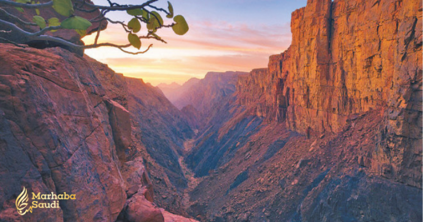 Saudi Arabia News, All-Female Saudi tourist Group, latest Saudi News, Saudi News Today, Arab News, Marhaba Saudi 