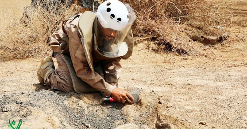 Saudi Arabia clears 1,401 mines in April’s second week
