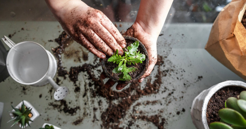 Saudis adopt new hobbies to get through quarantine