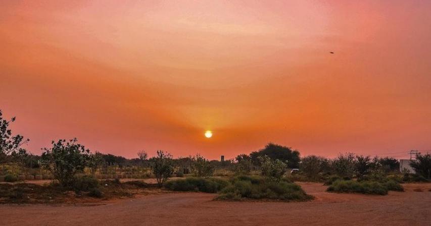 Saudi ministry celebrates environmental protection