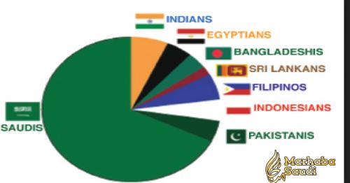 Country Wise Population of Expatriates in Saudi Arabia