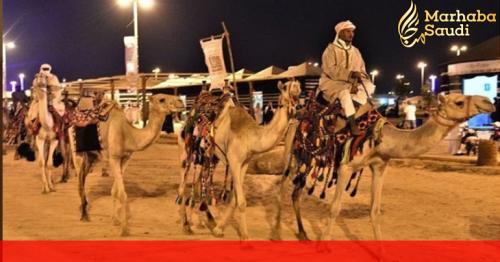 Camel caravans capture visitors’ attention at Okaz Market