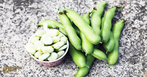 Health Benefits of Jack Beans