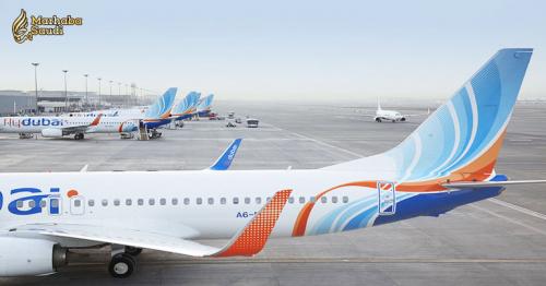 Flydubai aircraft struck by bird during flight to Saudi Arabia