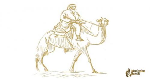 Pilgrims may soon travel to Madinah on camel backs