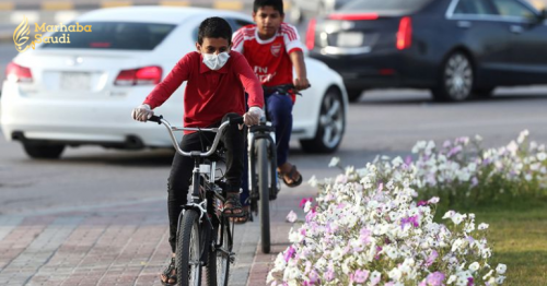 Saudi Arabia reports 24 new coronavirus cases