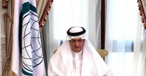 Organization of Islamic Cooperation holds virtual symposium on COVID-19
