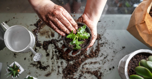 Saudis adopt new hobbies to get through quarantine