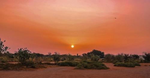 Saudi ministry celebrates environmental protection