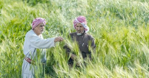 Saudi fund approves $90m agricultural loans