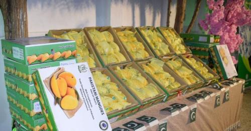  Mango festival aimed at enhancing trade links between Saudi Arabia and Pakistan