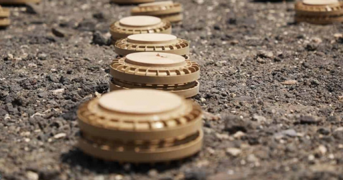 Saudi project clears 1,257 Houthi mines in one week