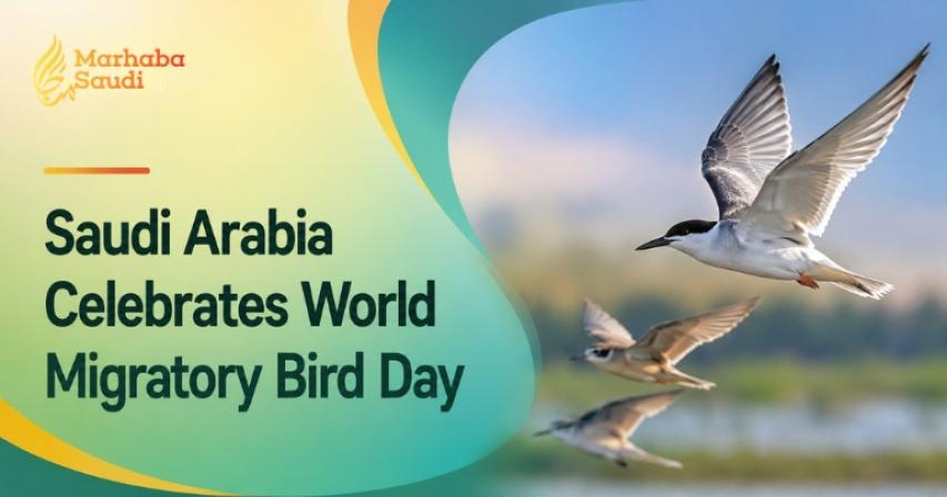 Saudi Arabia Celebrates World Migratory Bird Day