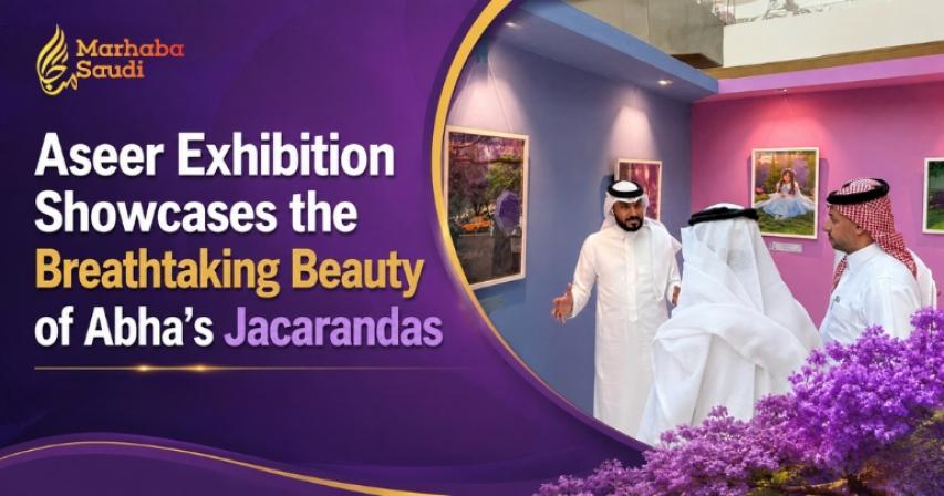 Abha jacaranda season