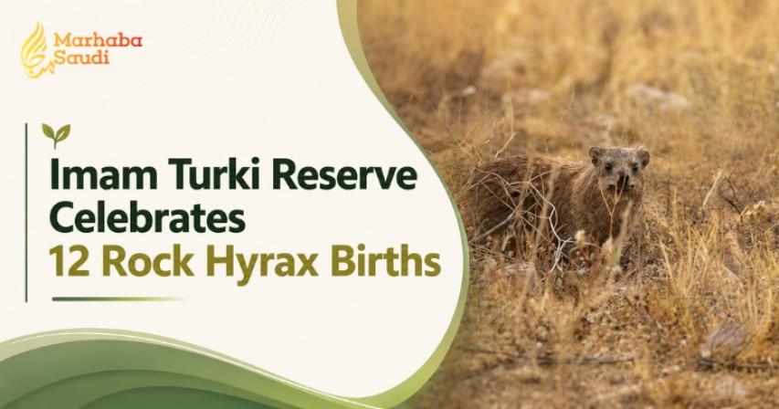 Imam Turki Bin Abdullah reserve