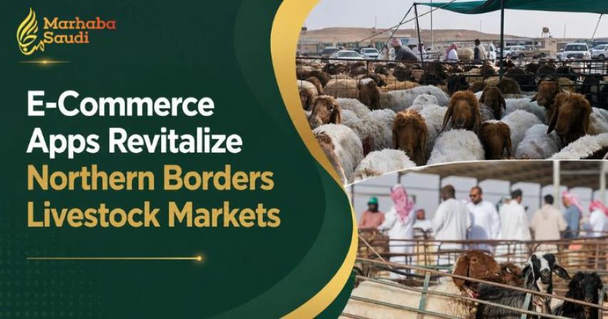 E-Commerce Apps Revitalize Northern Borders Livestock Markets