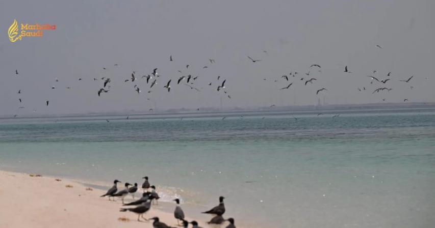 Jazan maritime heritage