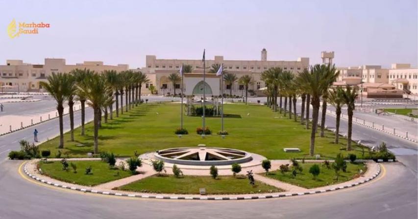 Taif University Aggressively Climbs Global QS Rankings