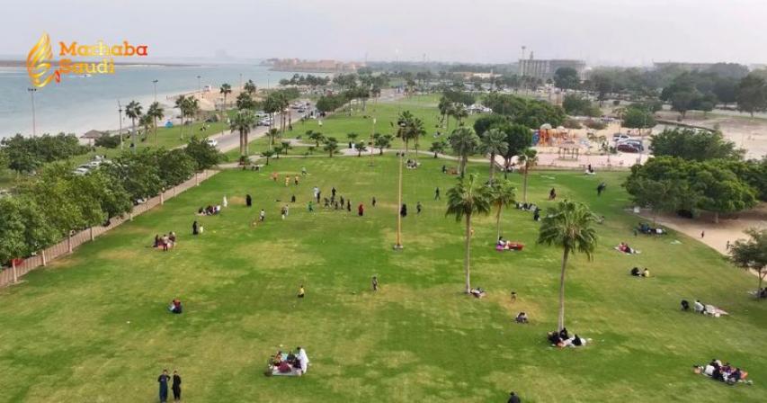 Jubail Industrial City Slashes Scorching Temperatures by 5 Degrees With Massive Urban Forest Project