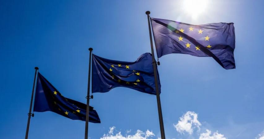 Google EU response