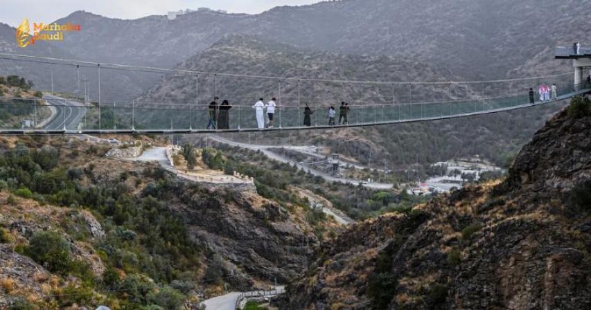 Al-Baha Municipality Transforms Prince Mashari Park into Massive 20,000-Square-Meter Summer Tourist Destination