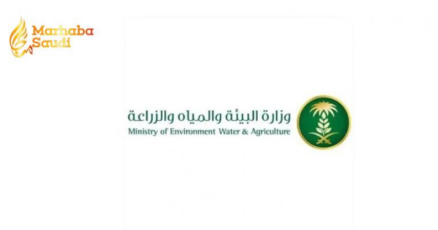 Saudi tree planting