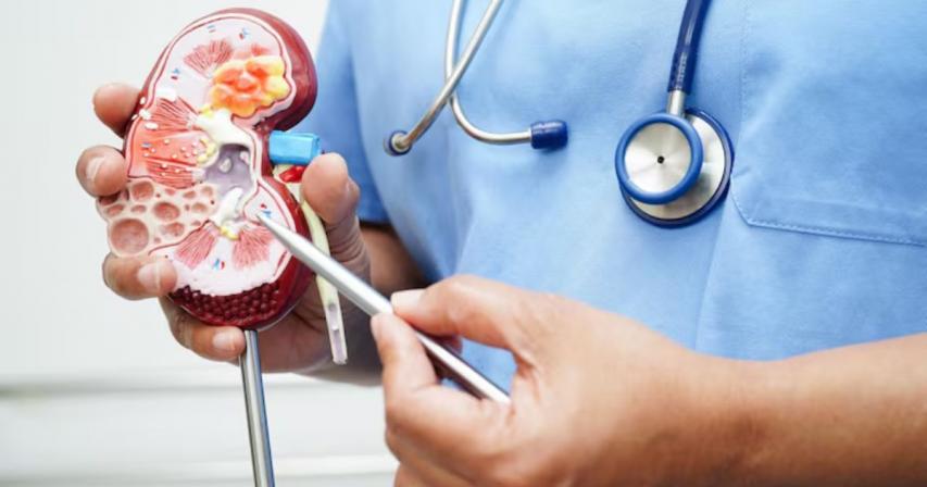 Kidney Doctor Busts Weight Loss Myth After 40 Kg