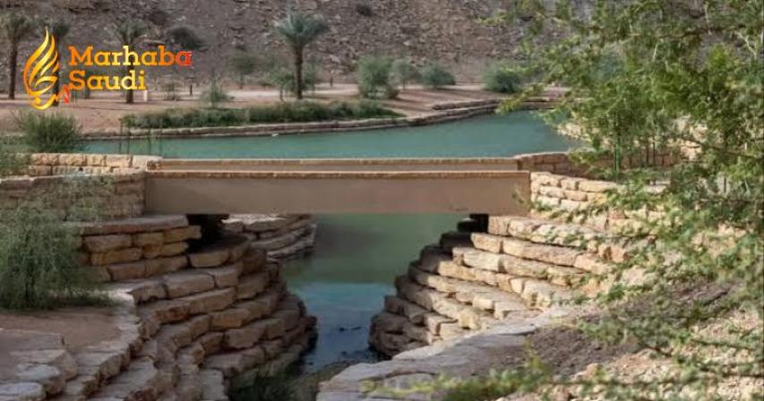 Green Riyadh Program