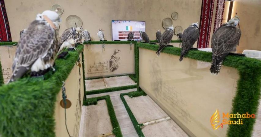 International Falcon Breeders Auction