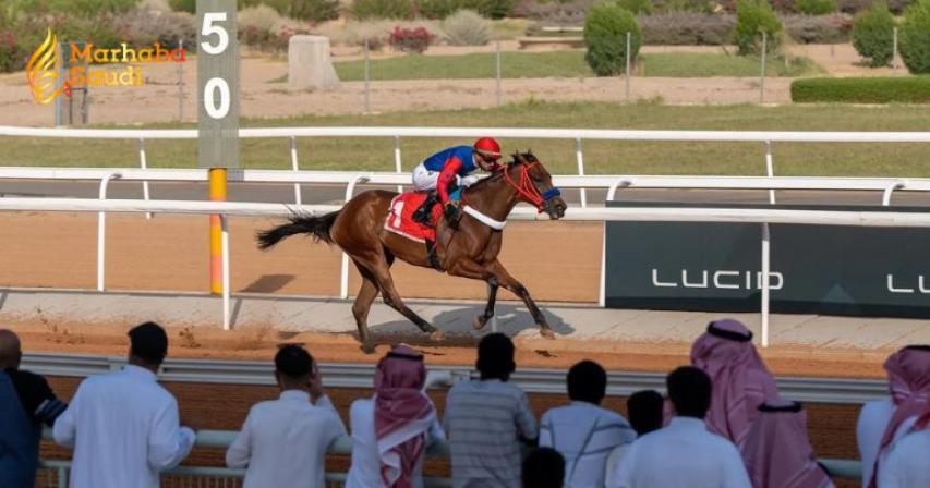 Taif Racing Season Ignites Brutal Competition For Staggering Cash Prizes