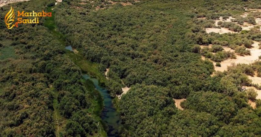 Turabah Dam Executes Spectacular Natural Display To Captivate Nature Enthusiasts