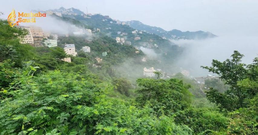 Jazan rains