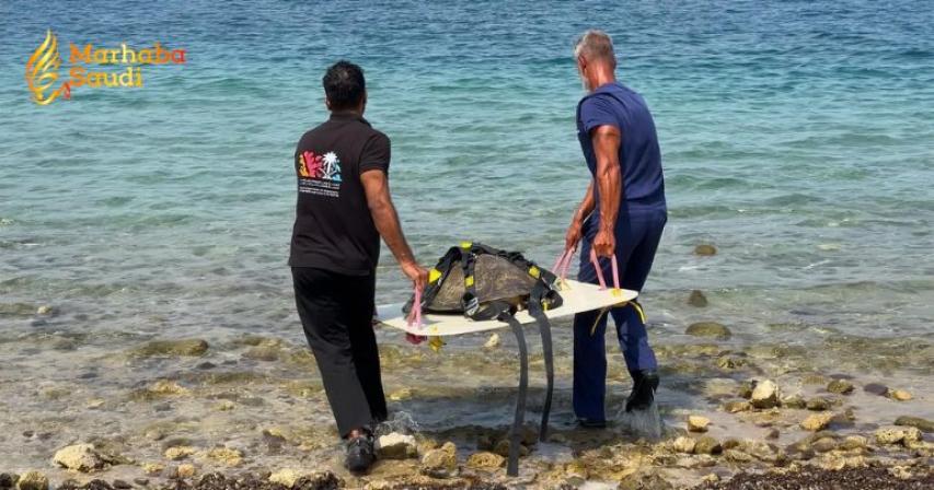 Saudi green sea turtle rescue