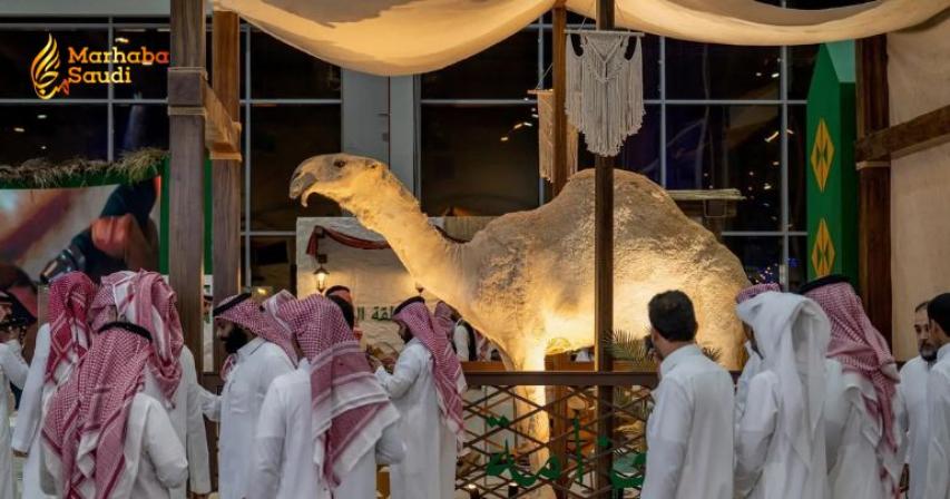 Saudi International Falcons and Hunting Exhibition