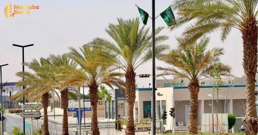 Rafha Saudi National Day