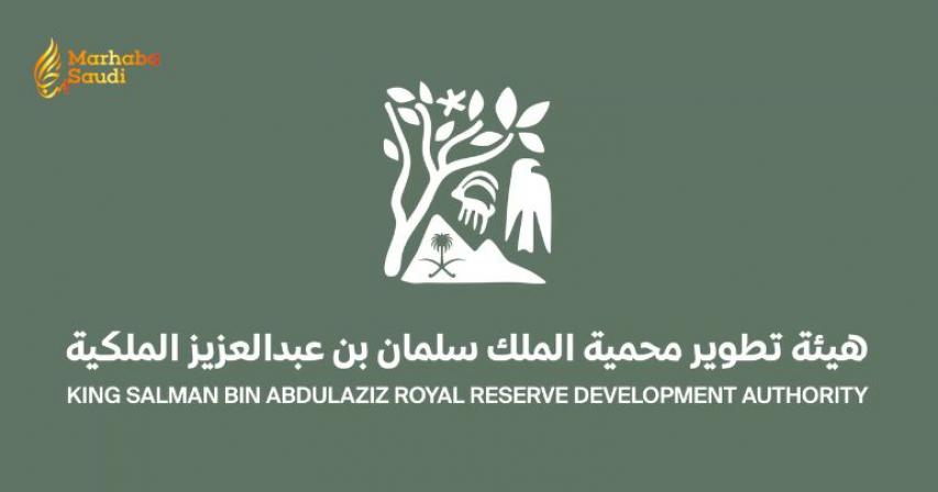 King Salman Royal Reserve wildlife