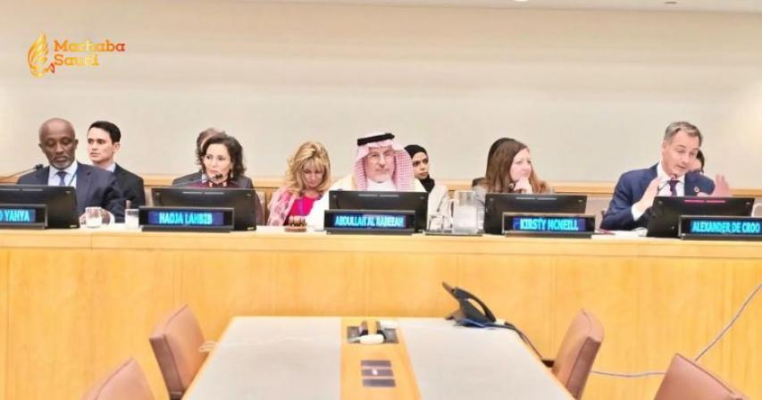 KSrelief UNGA panel